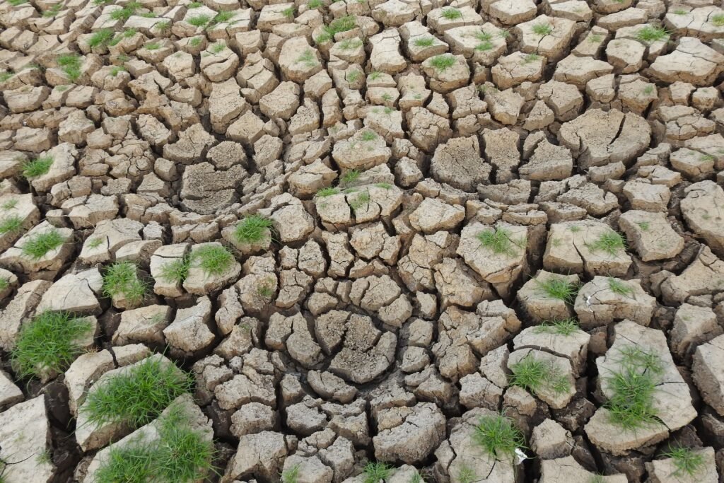 climate change matters1