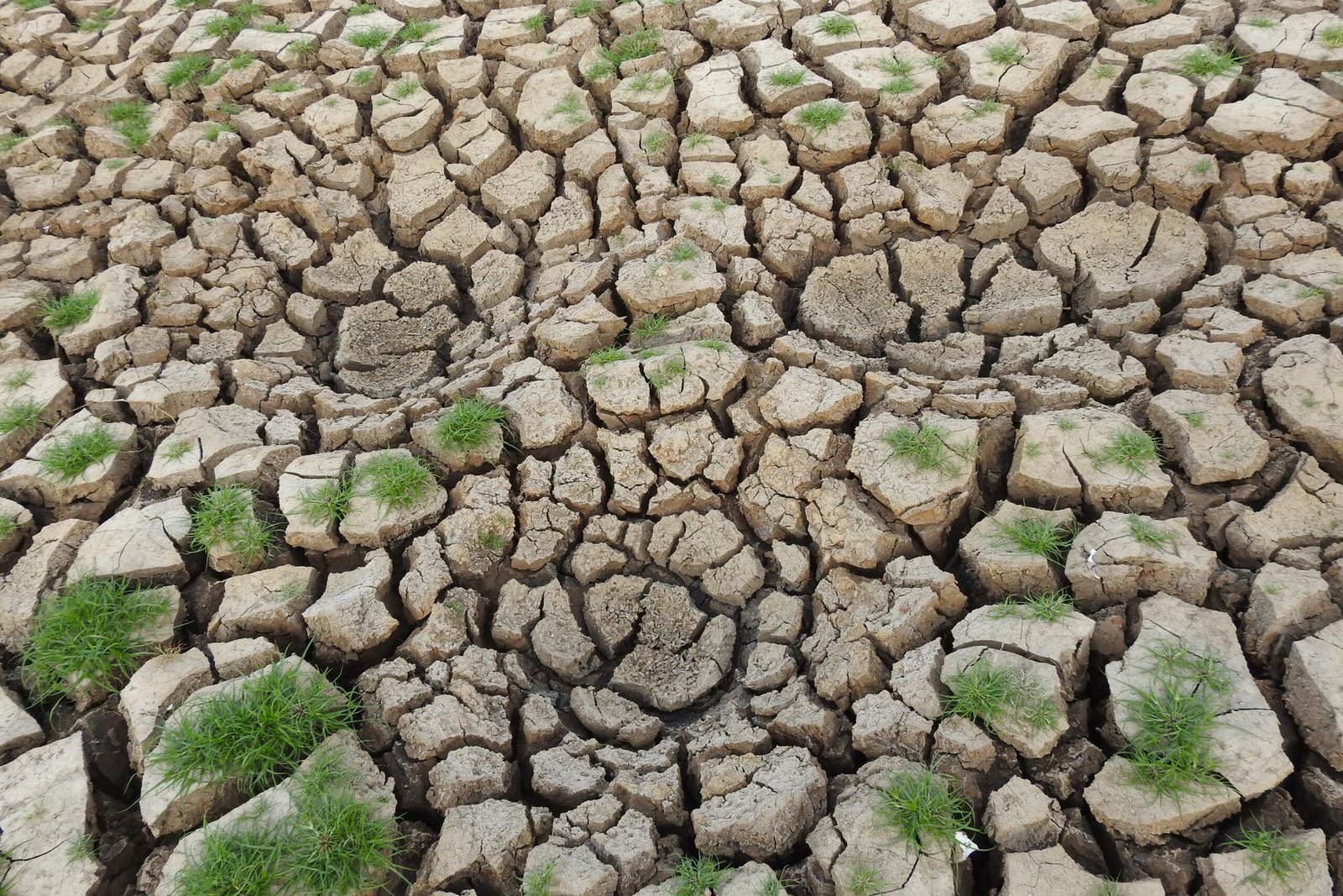 Why Climate Change Matters | Resilient Futures Organization